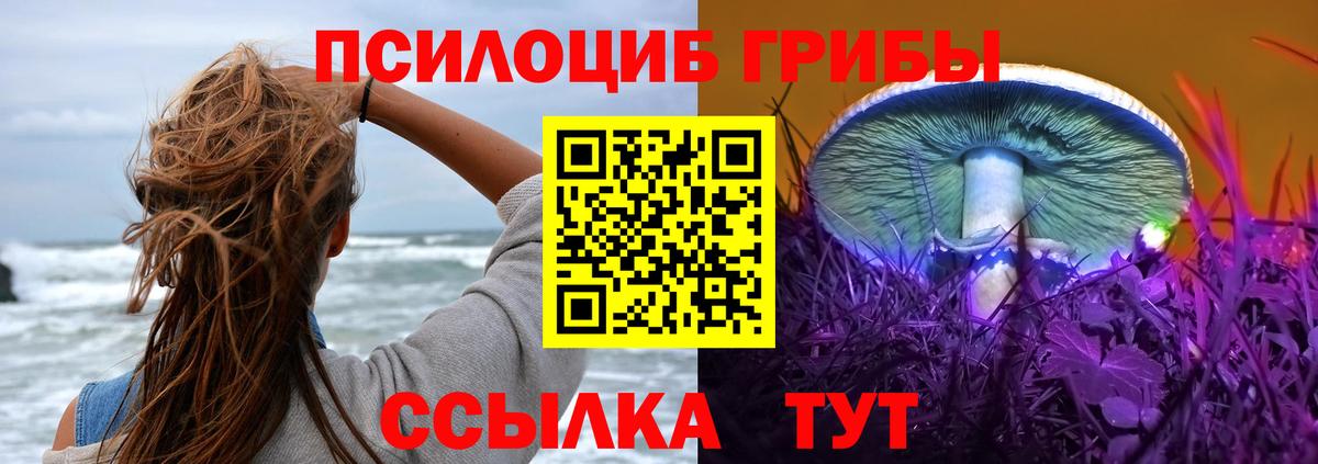 Галлюциногенные грибы Psilocybe Железноводск
