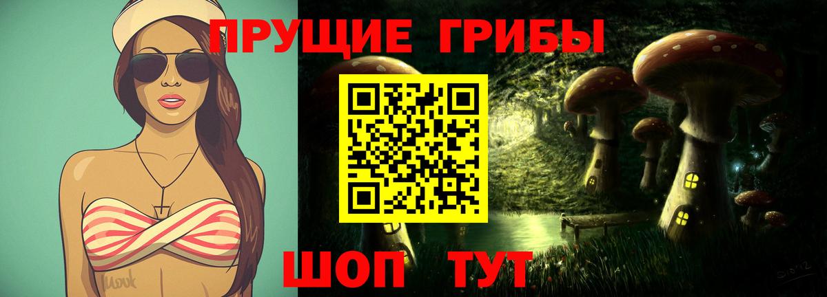 Железноводск  Псилоцибиновые грибы Psilocybe  Вход с VPN 